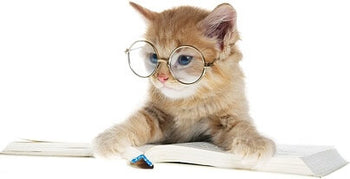 Everycat -  A complete Book of Cat Care - By E Allen & L Bonning