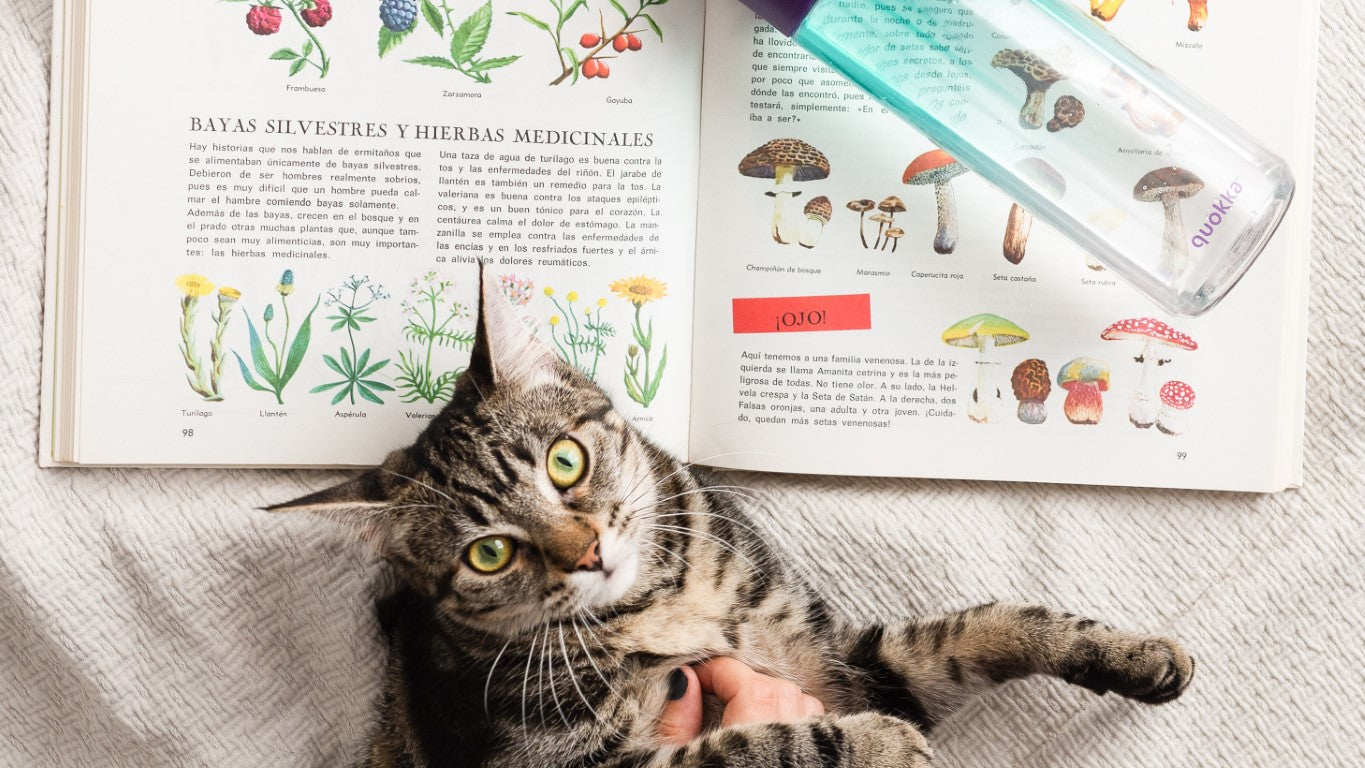 Book recommendation for the Pet Lovers