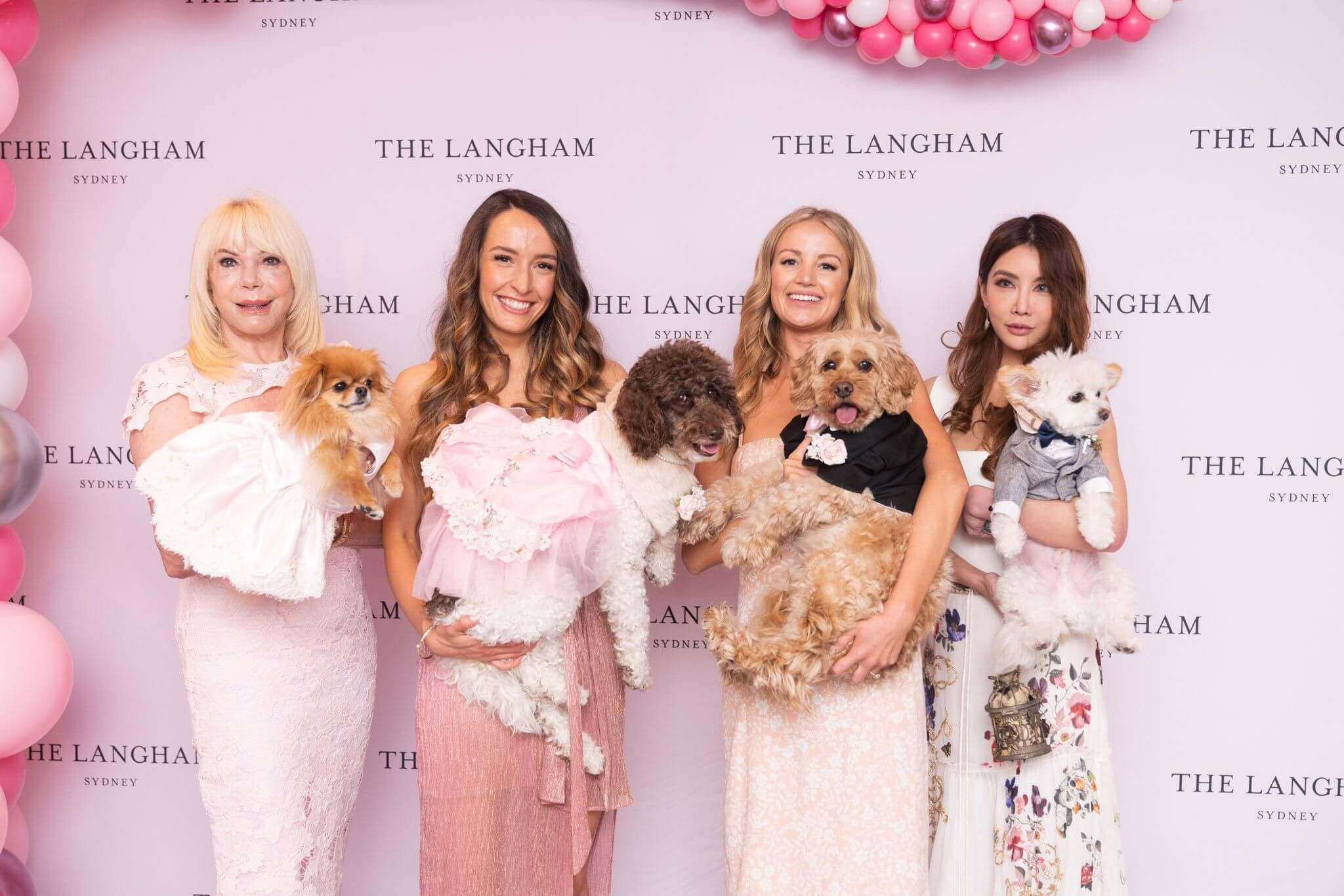 Pampered Pet Staycation 5 stars and many paws!