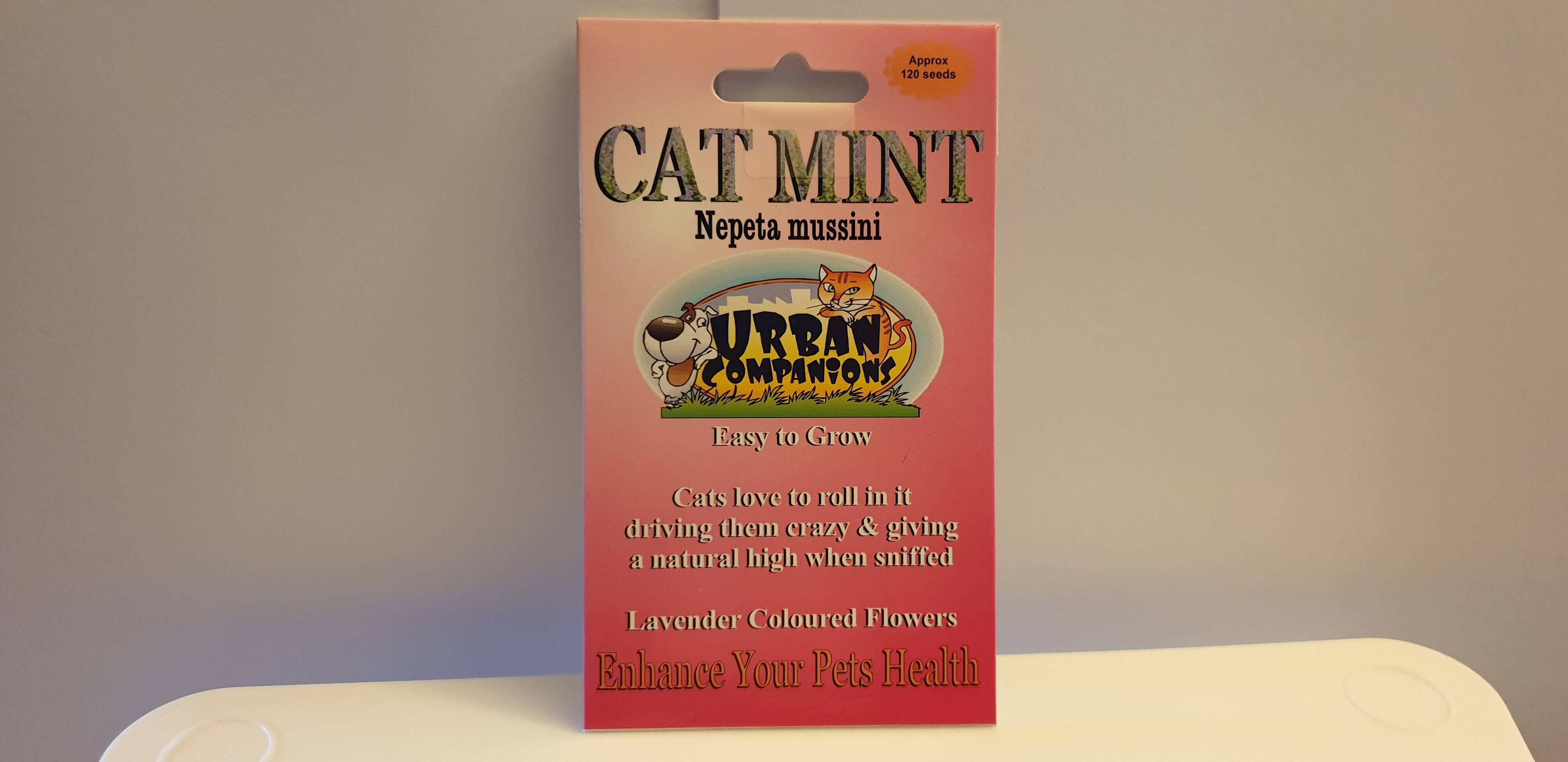 Cat Mint Seeds to Sew for a Natural High for Kitty.