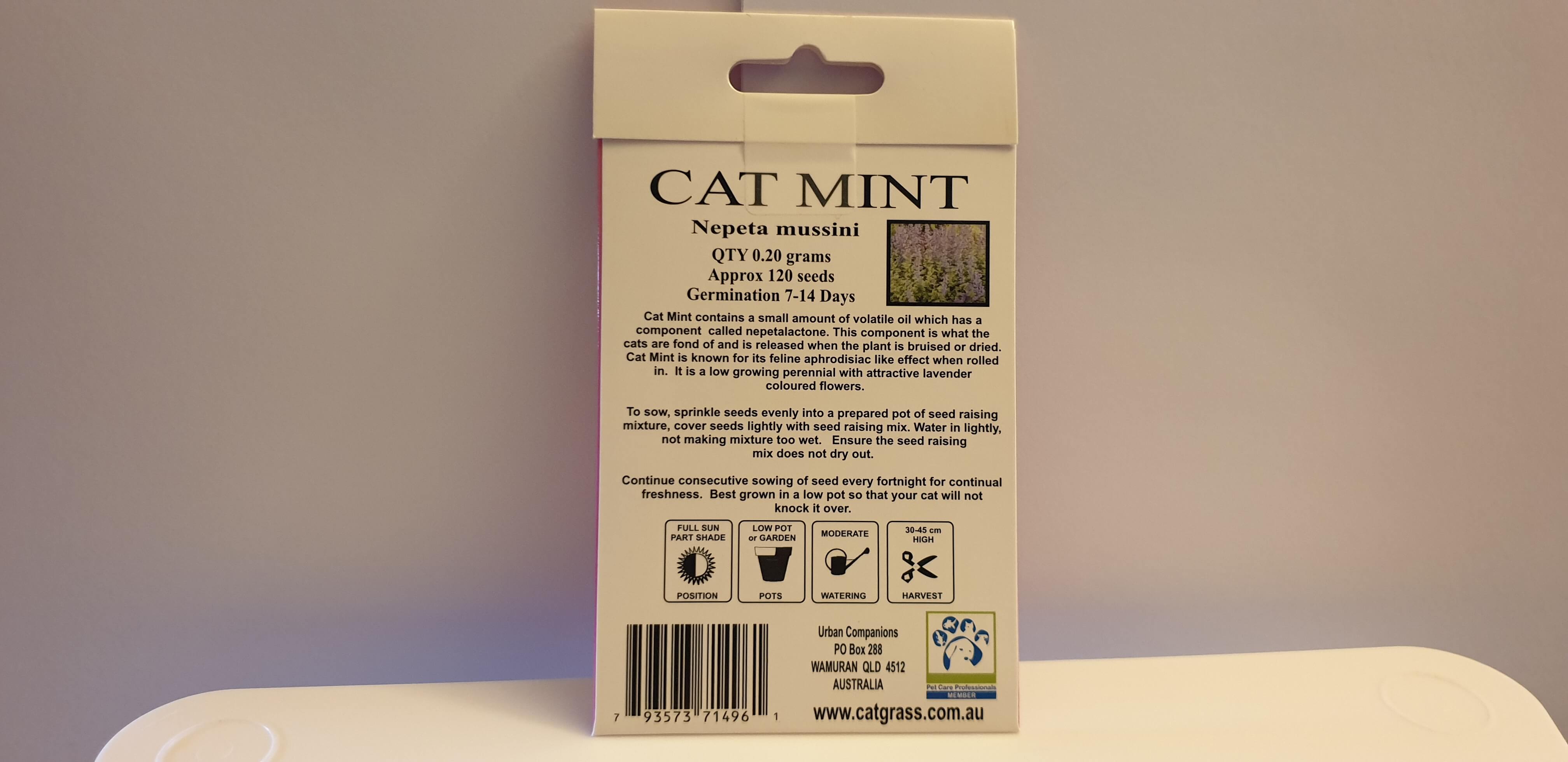 Cat Mint Seeds to Sew for a Natural High for Kitty.