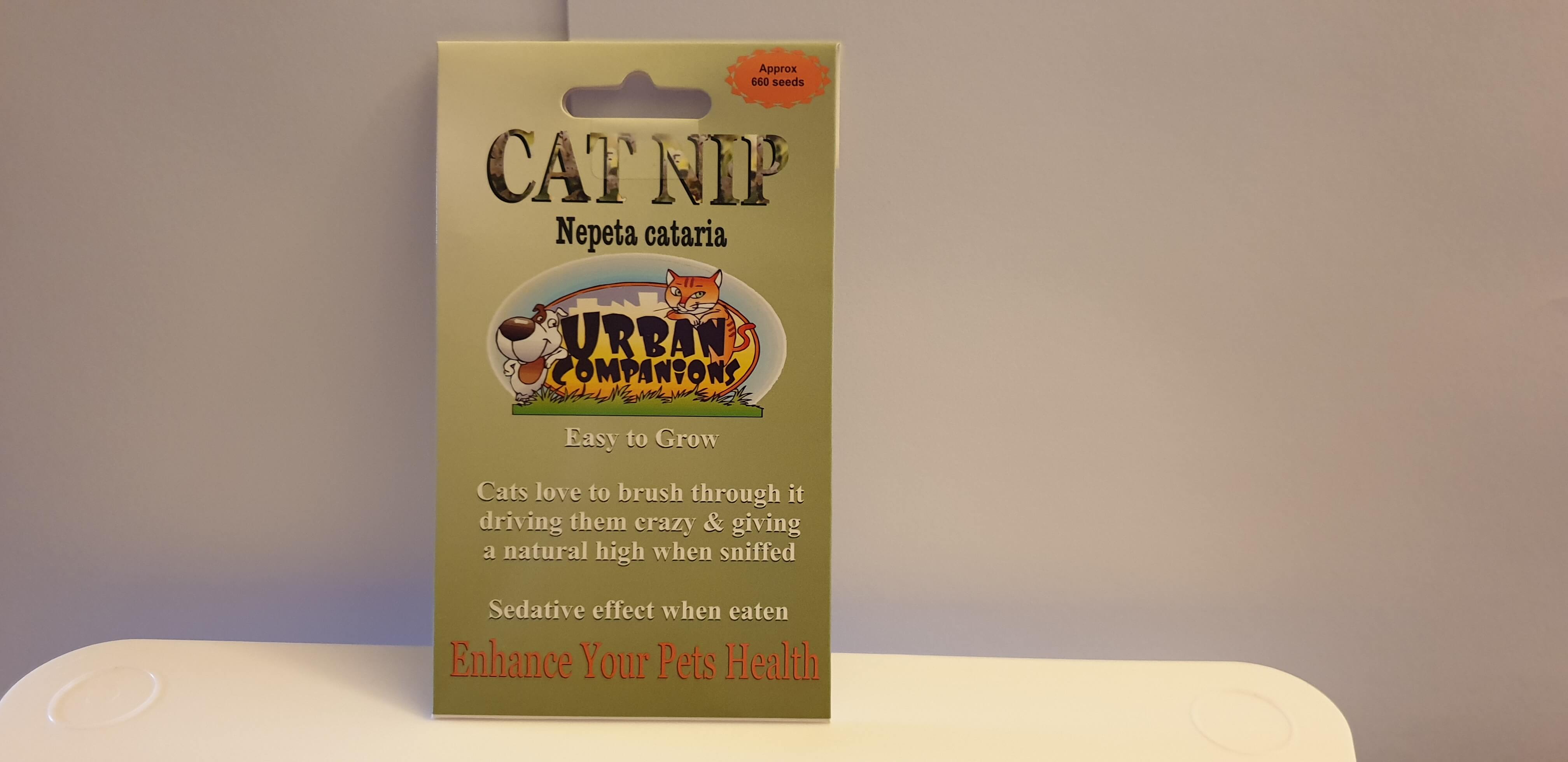 Kitty Catnip Seeds - Plan for the Catnip Party!