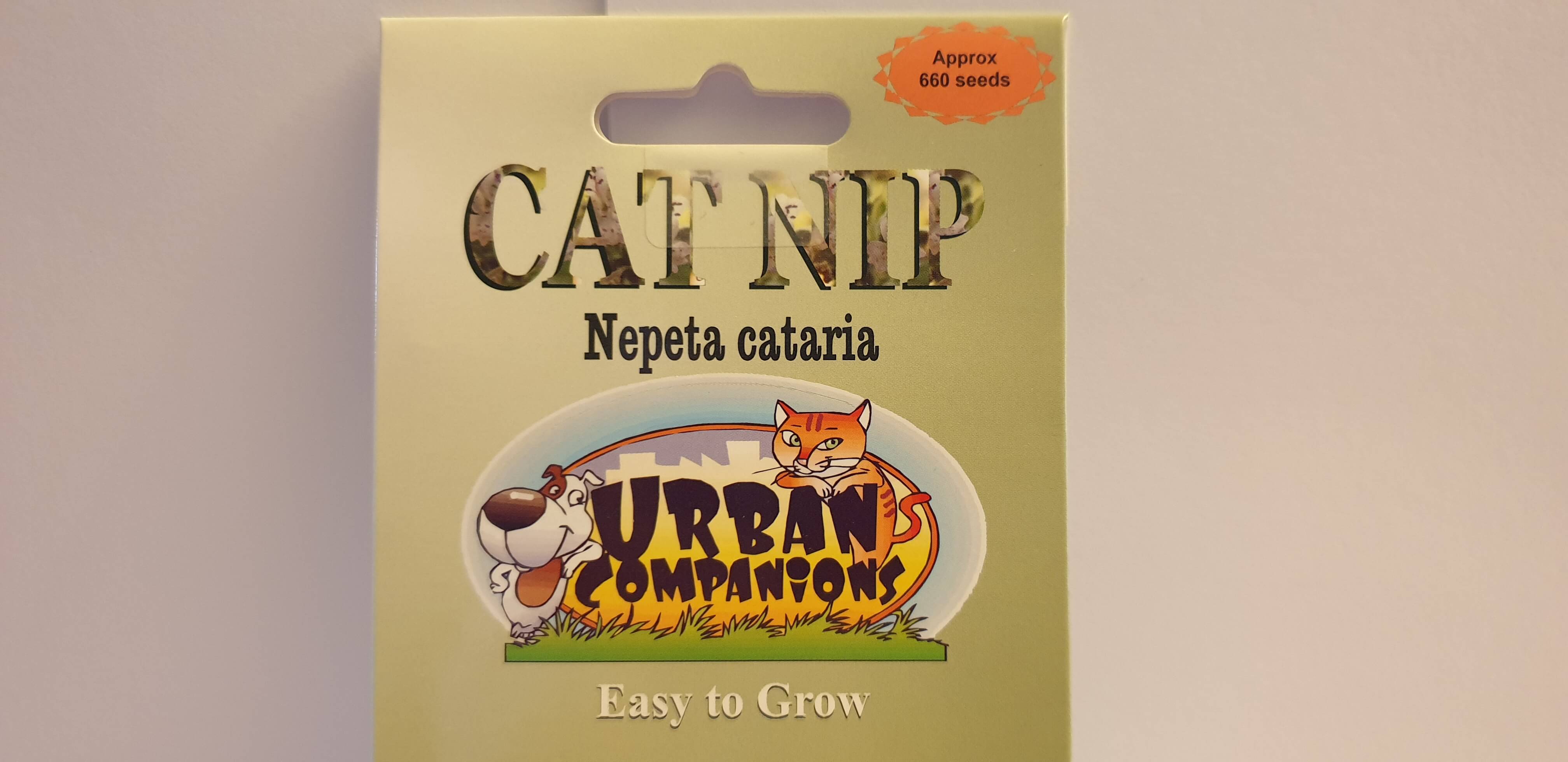 Kitty Catnip Seeds - Plan for the Catnip Party!