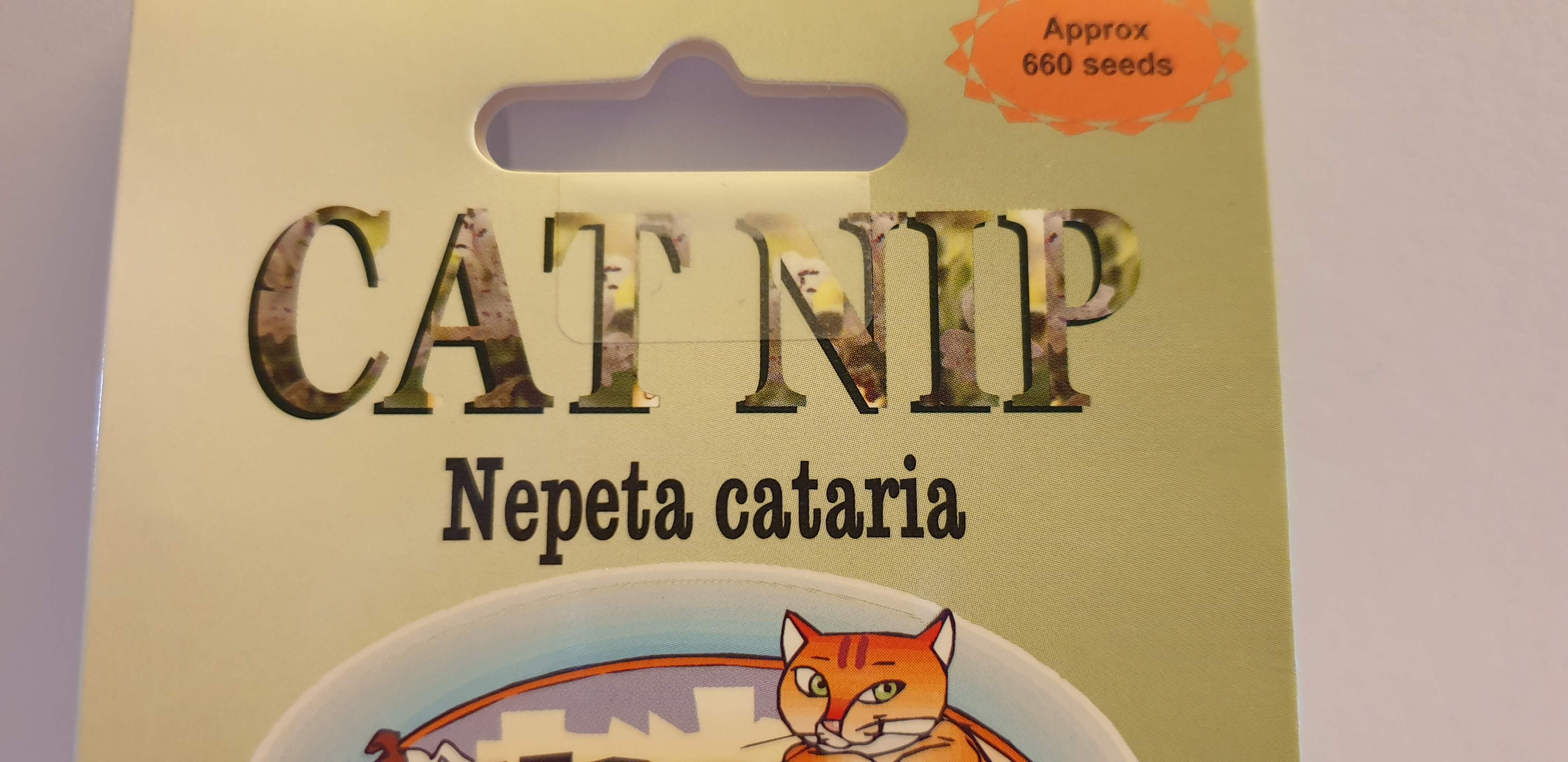 Kitty Catnip Seeds - Plan for the Catnip Party!