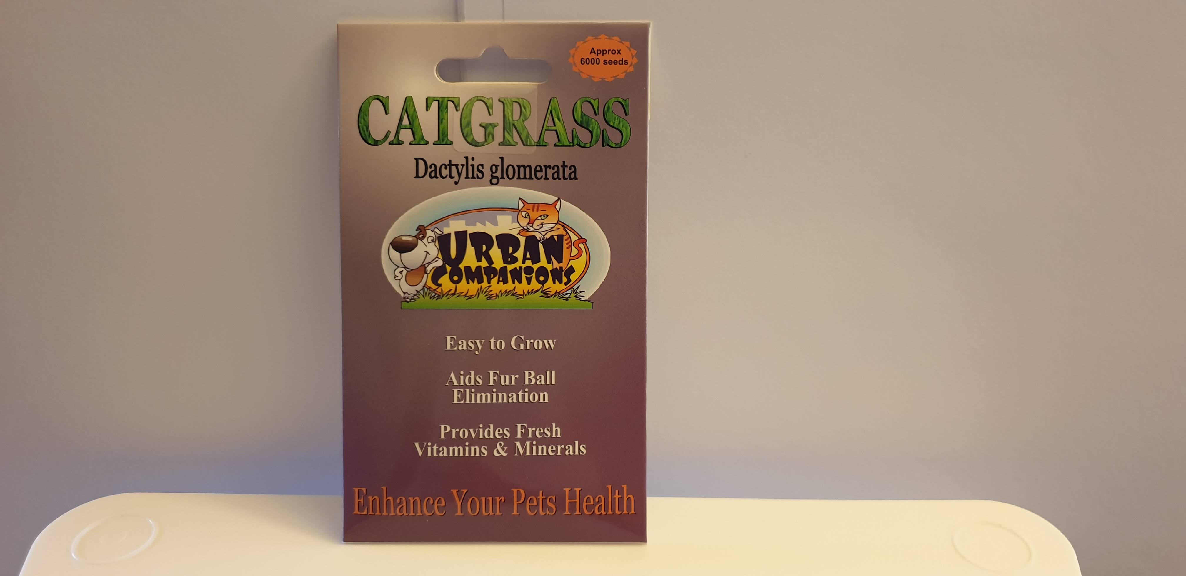 Cat Grass Seeds to grow for your fur baby moo cows!