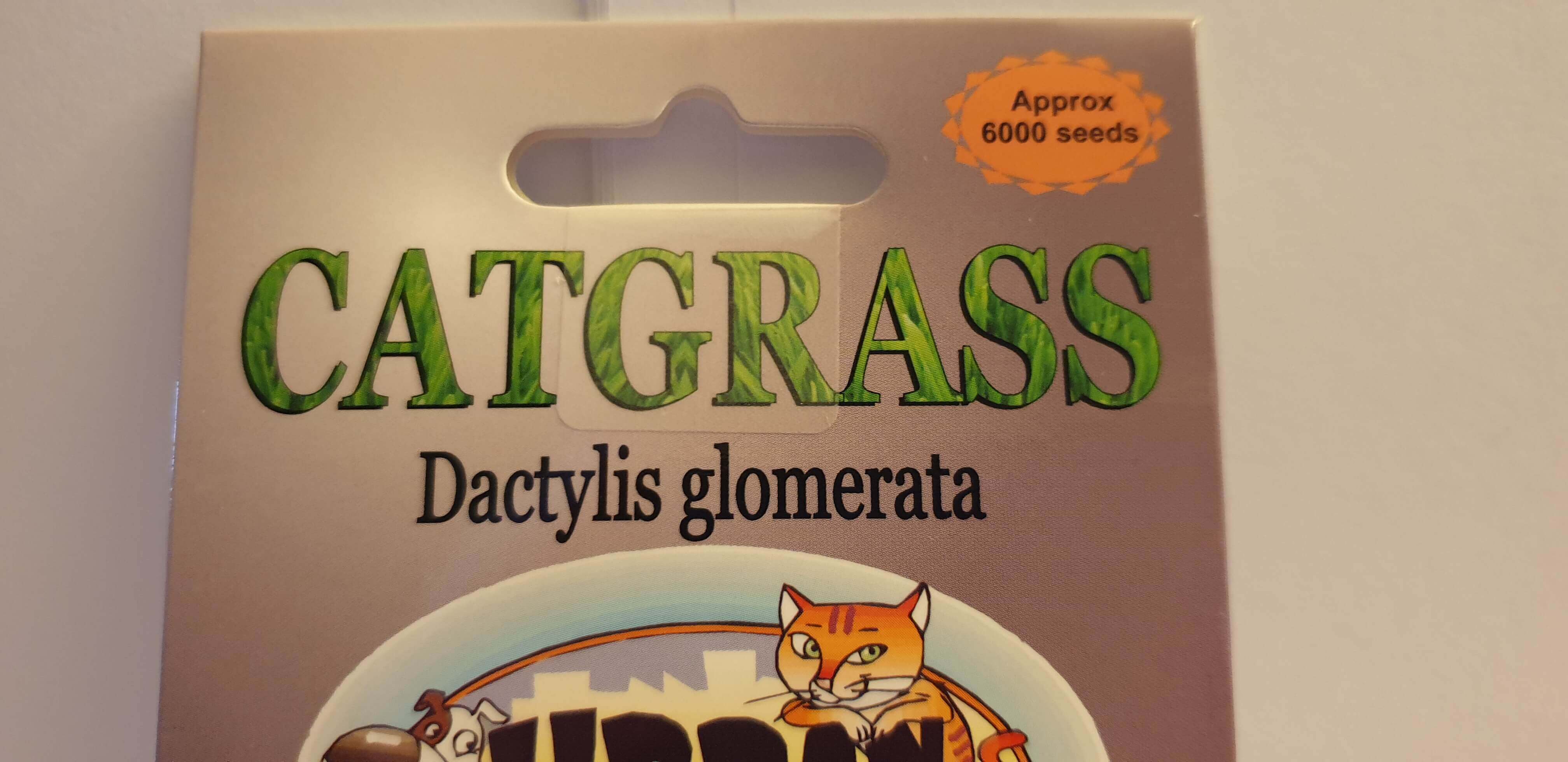 Cat Grass Seeds to grow for your fur baby moo cows!