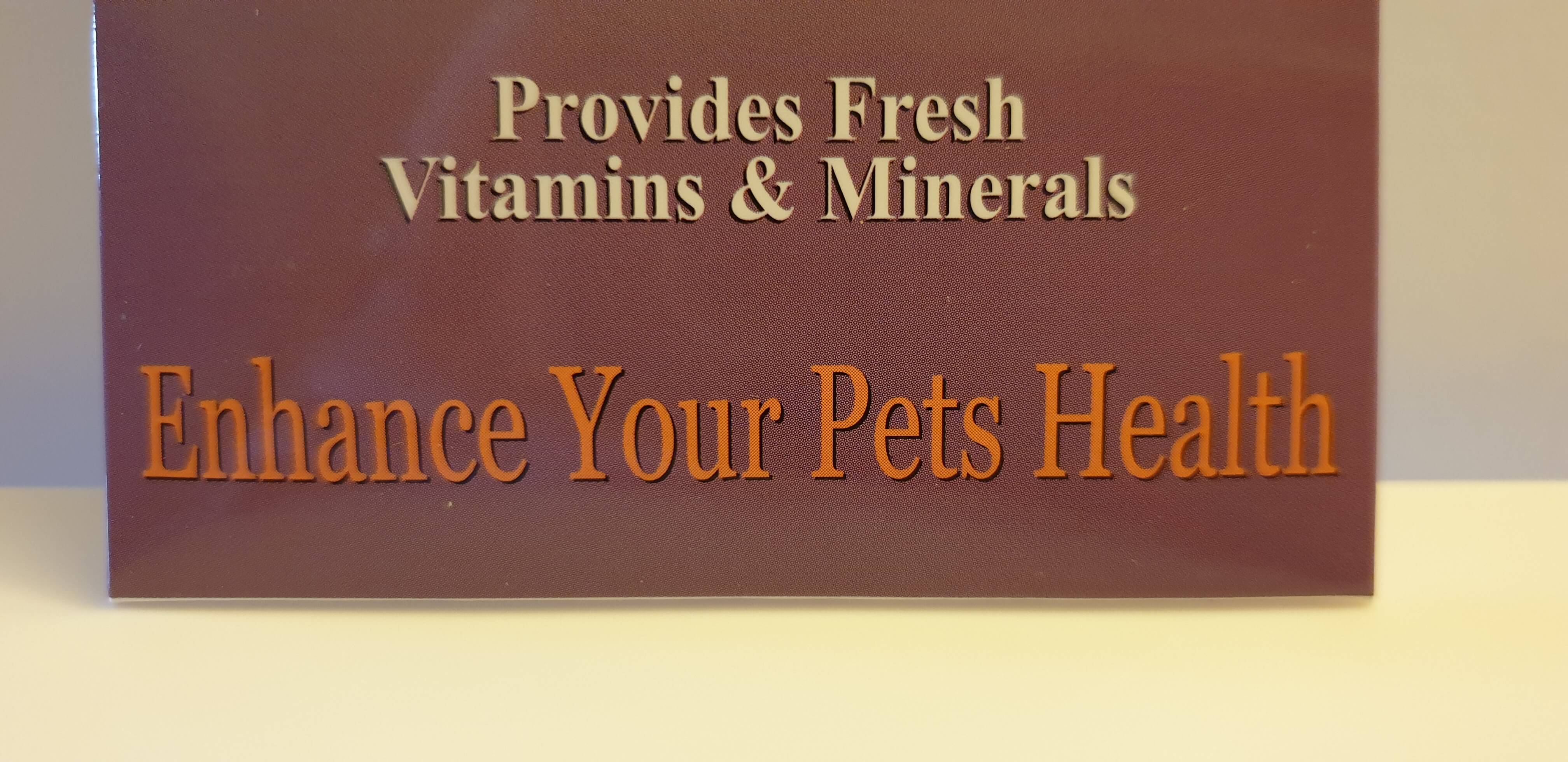 Cat Grass Seeds to grow for your fur baby moo cows!