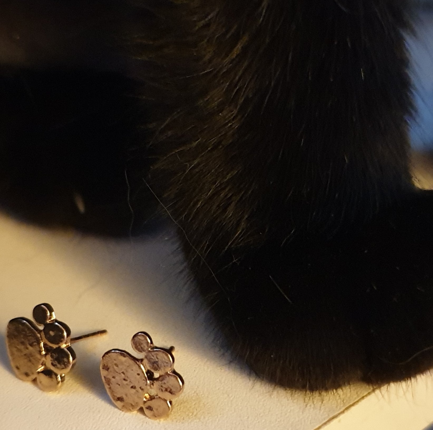 Purrty Gold Paw Print Design Brass Stud Earrings - Purrfect!