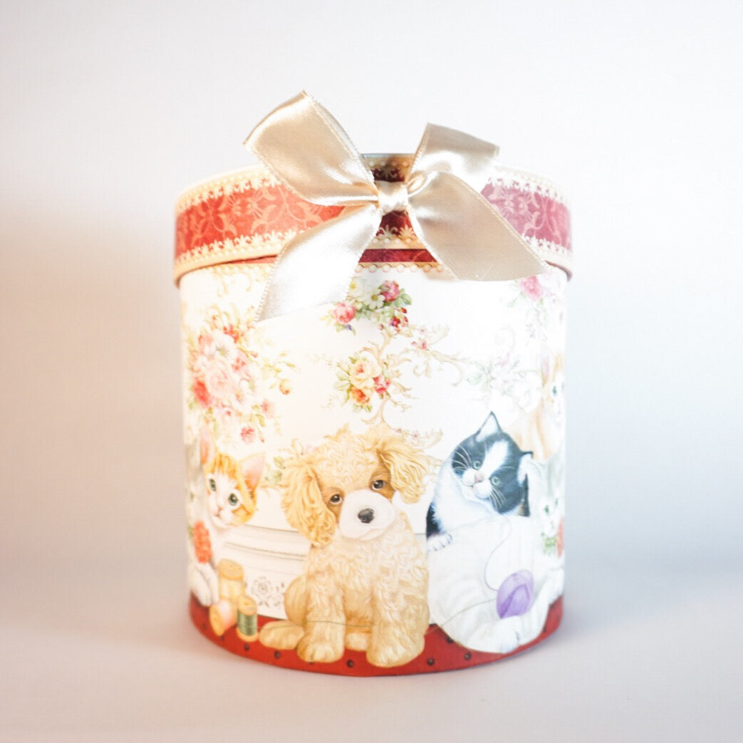 Cat Gift Mug + Gift Box