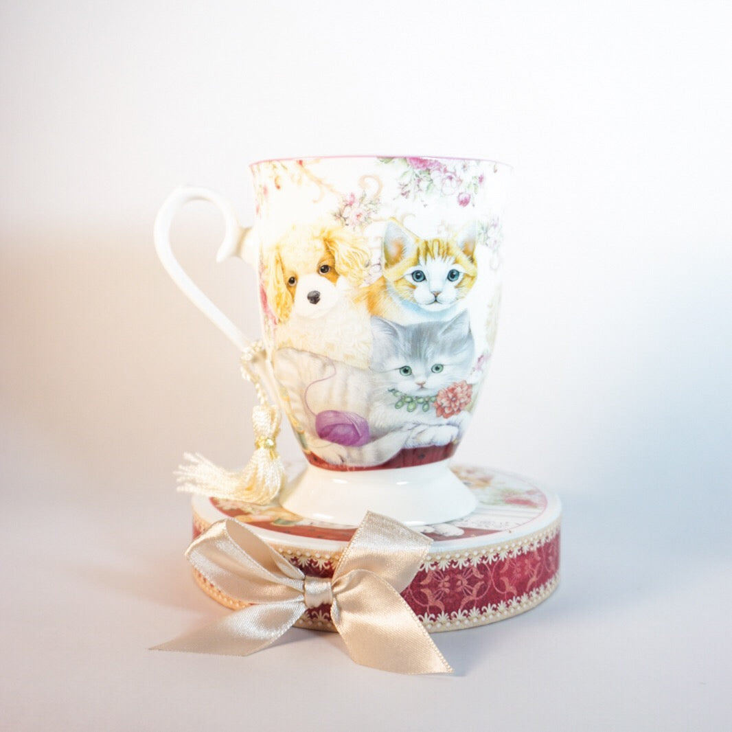 Cat Gift Mug + Gift Box