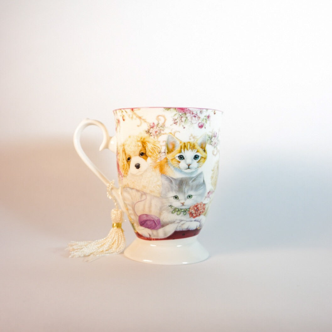 Cat Gift Mug + Gift Box