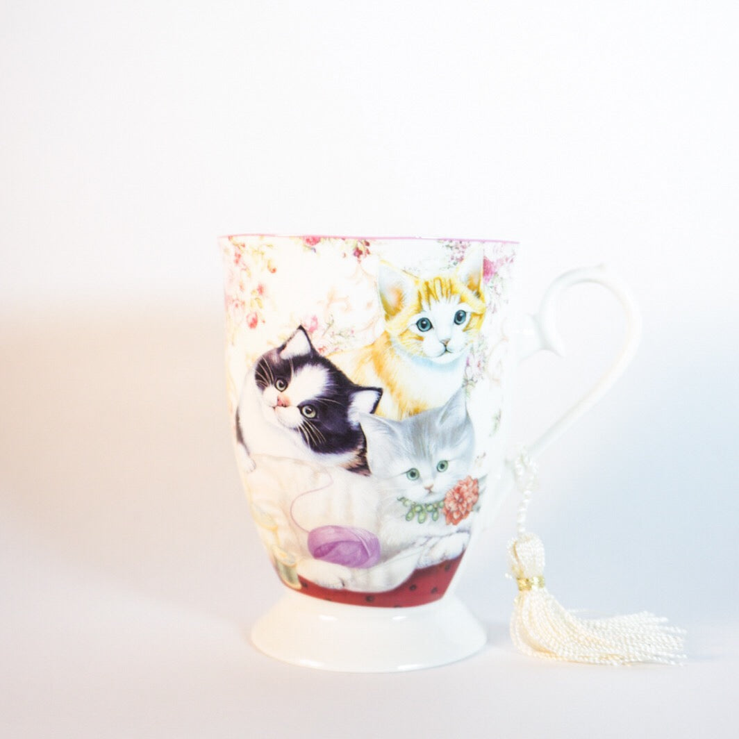 Cat Gift Mug + Gift Box