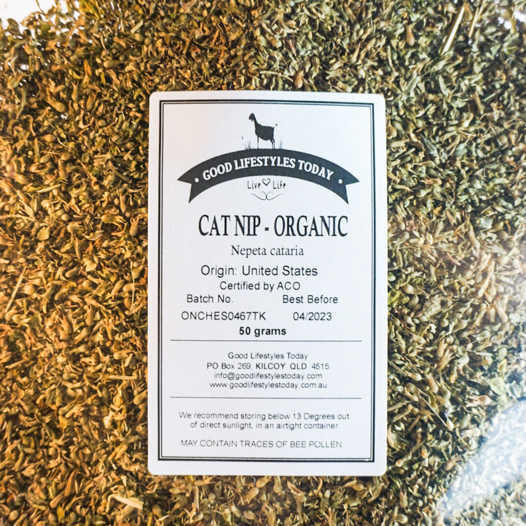 Organic Catnip Party For Kitty!